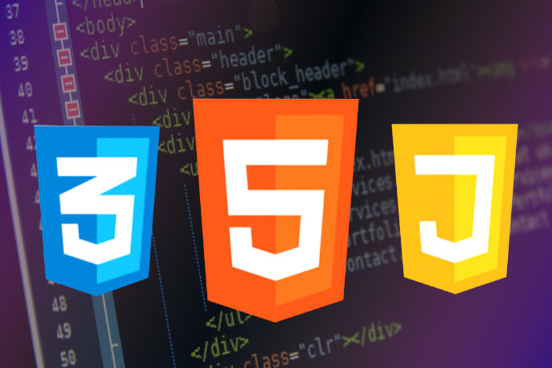 web development