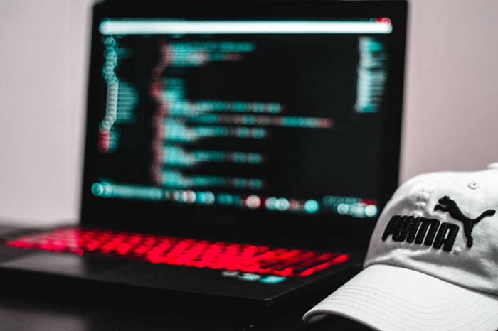 website development
