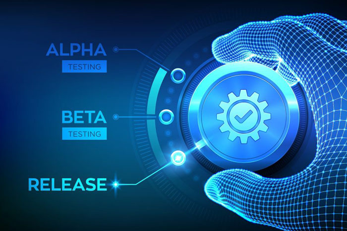 software company